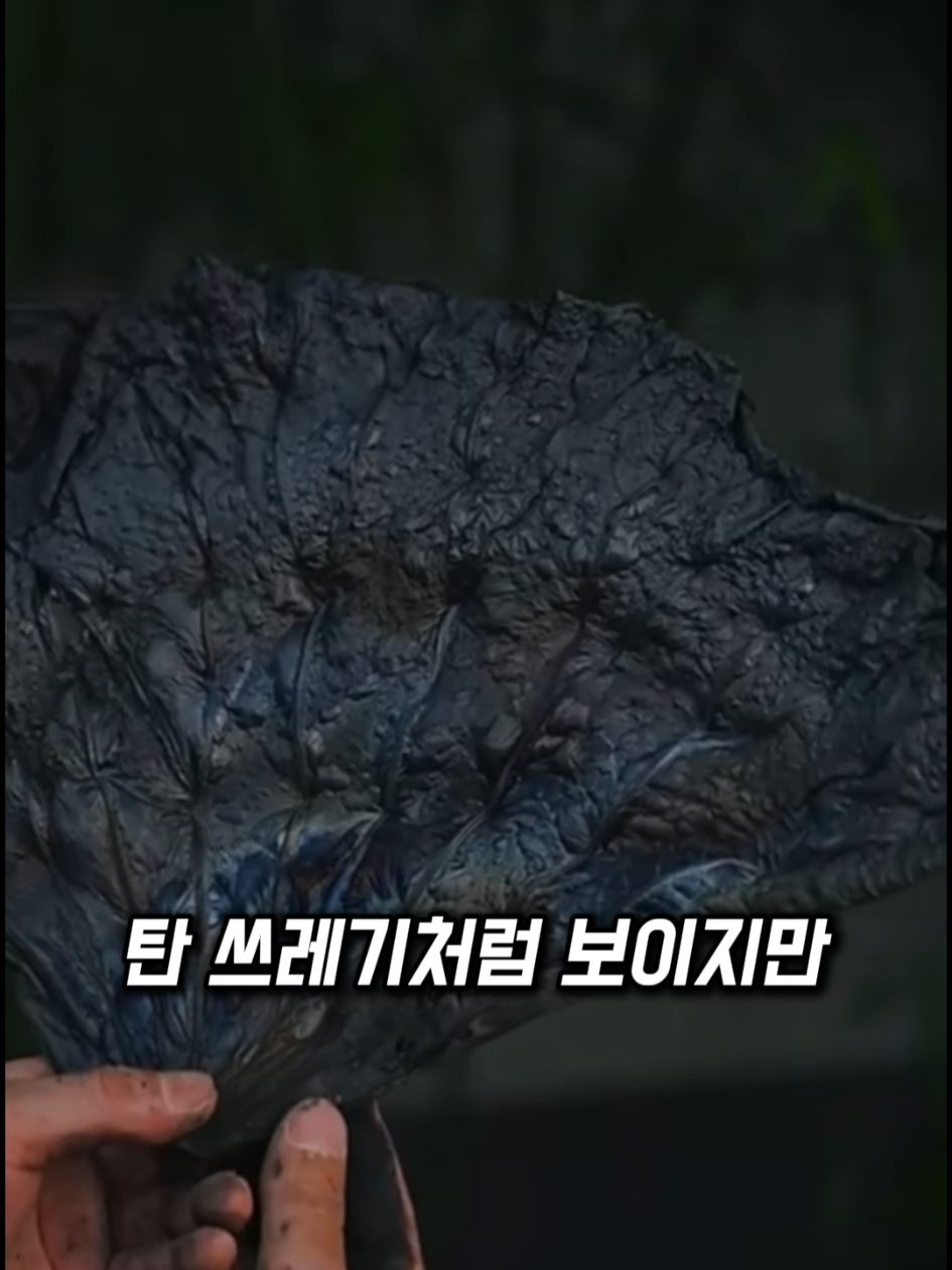 @쇼스코