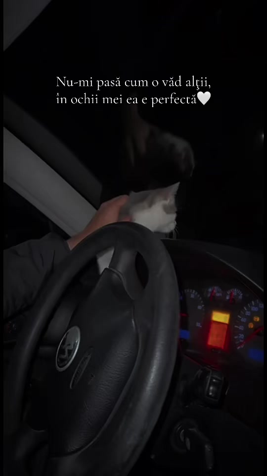 @ѕтʀᴀтυ_ᴊʀ