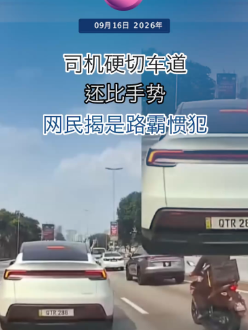 @中国报