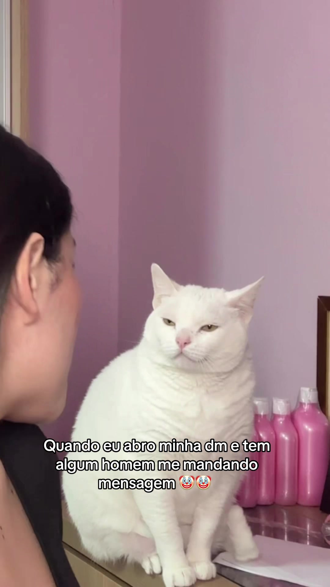 @Gata Pink
