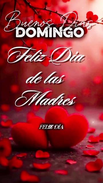 @zamy 🙏