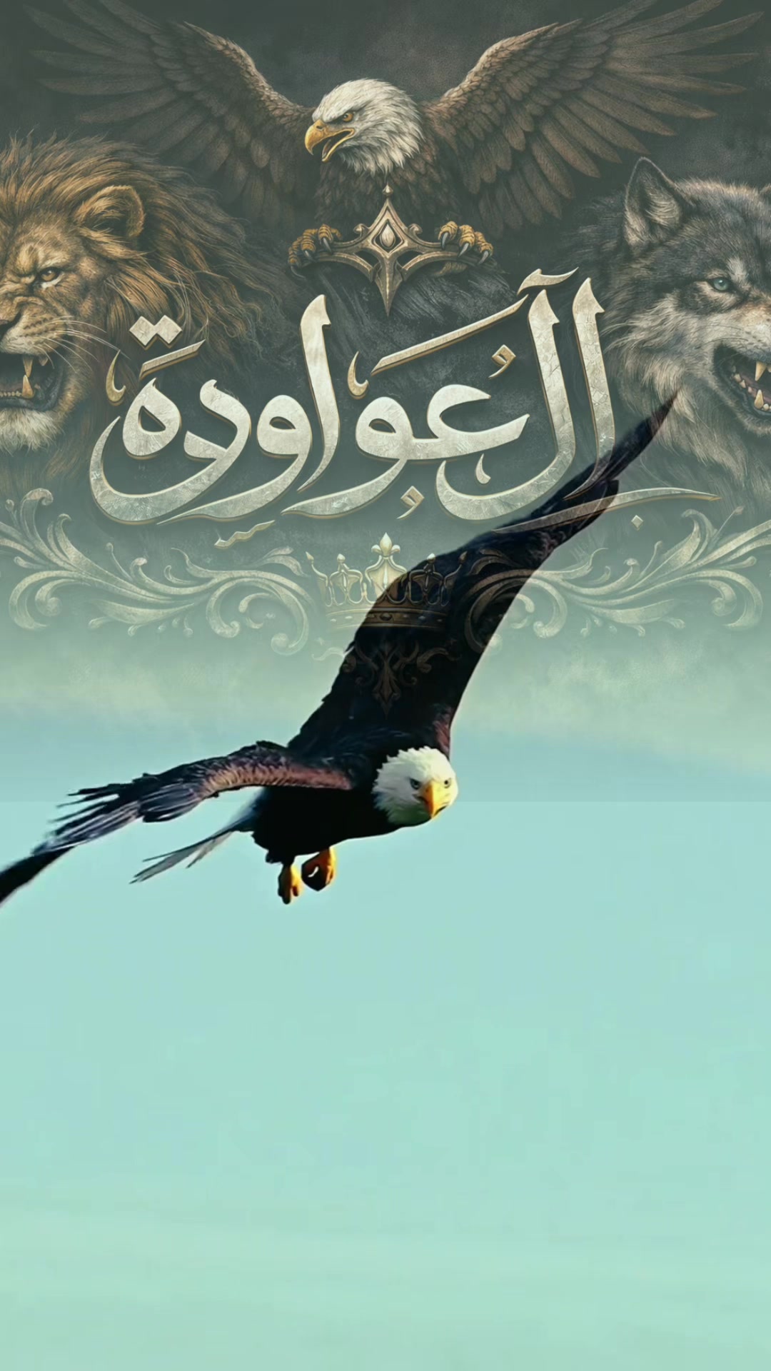 @awawdy10