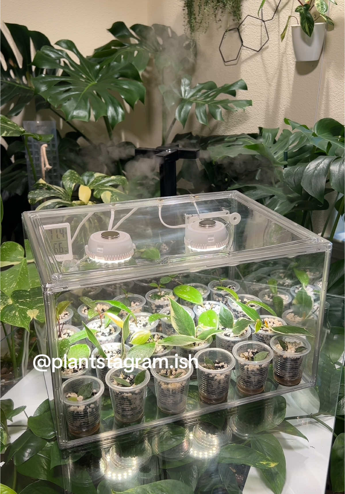 @Plantstagram.ish
