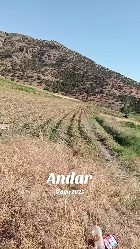 @merhaba g&uuml;zel insanlar