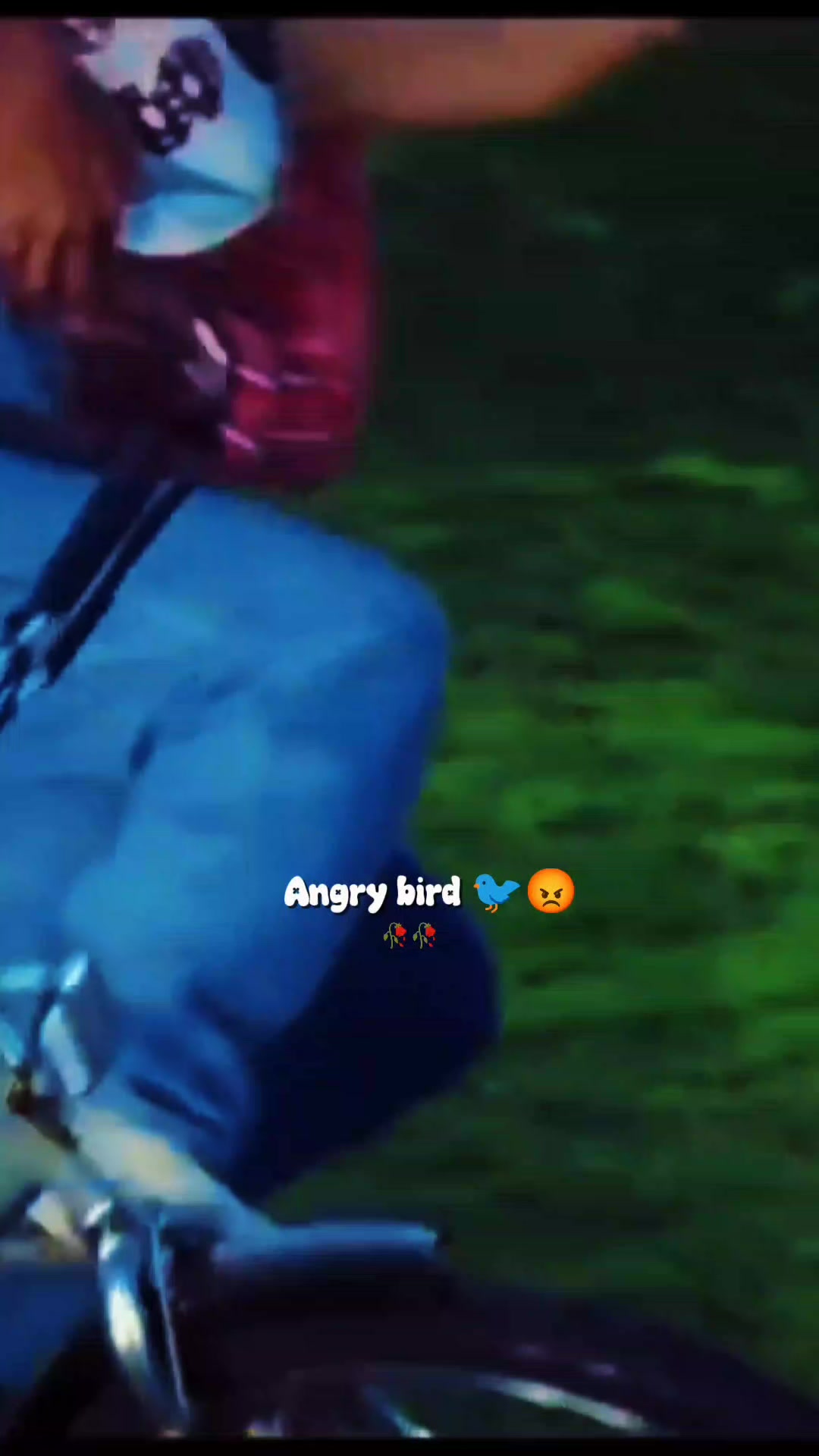 @💫𝖆𝖓𝖌𝖗𝖞 𝖇𝖎𝖗𝖉𝖘💫💥