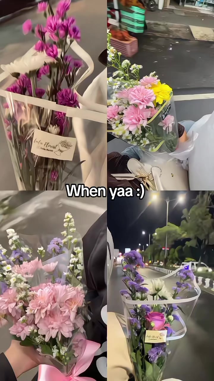 @cipsss