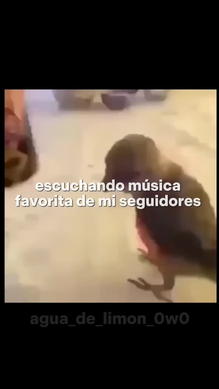 @agua_de_limon