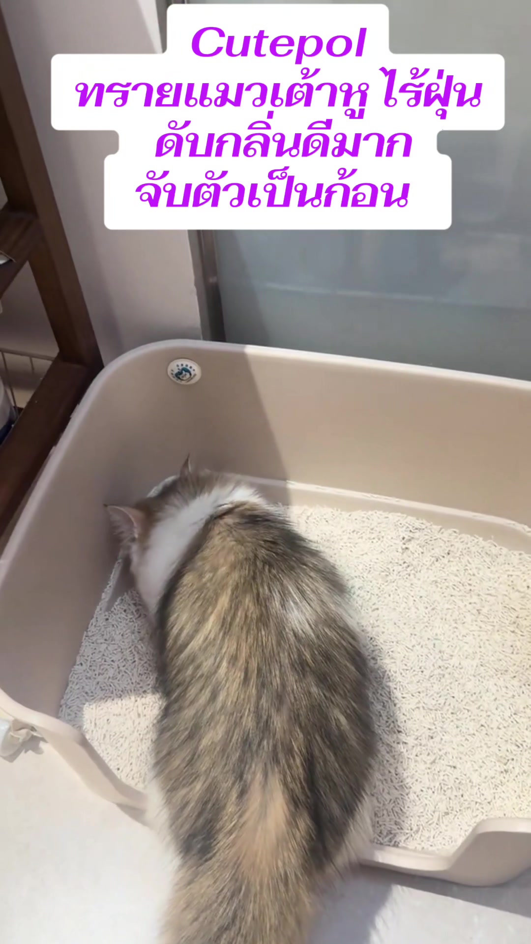 @Miki
