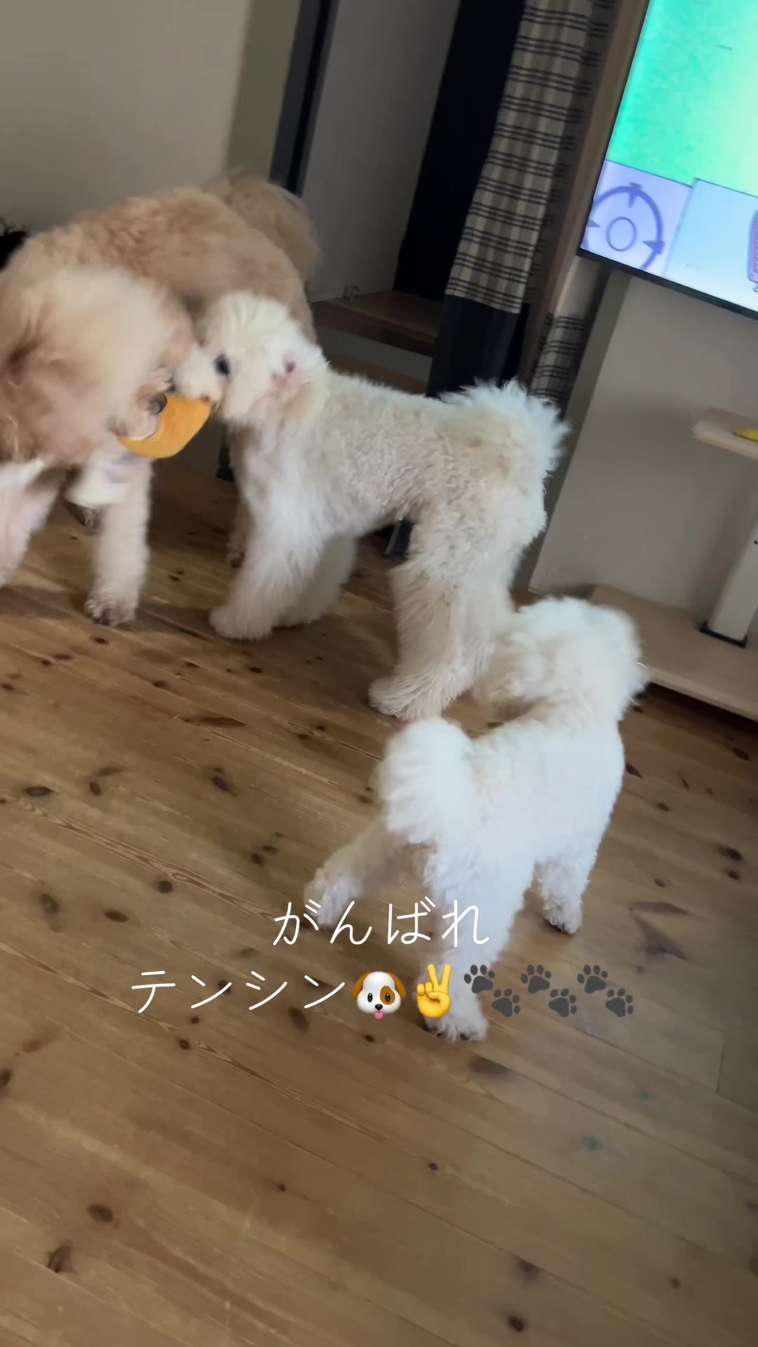 @ใใณใทใณ๐ถใจใใใ๐ถ๐ธๆใ
ใใฃใกใใ