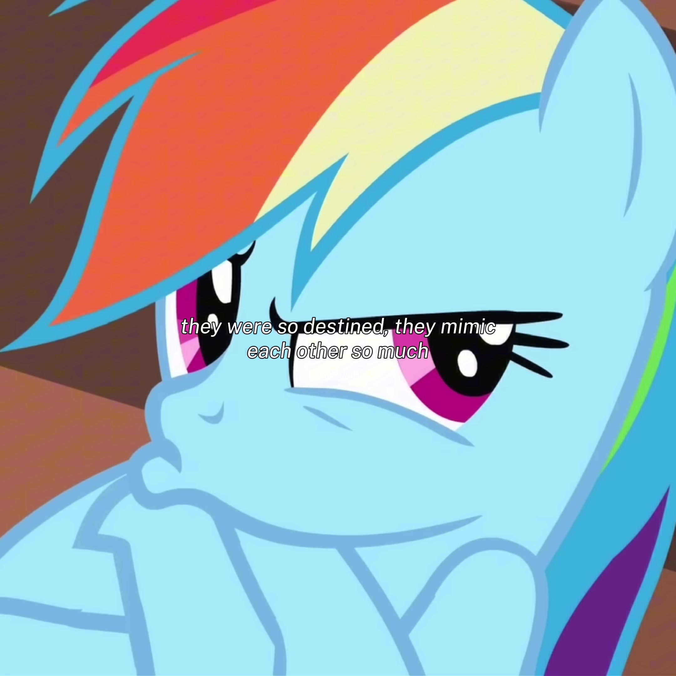@mlptwih