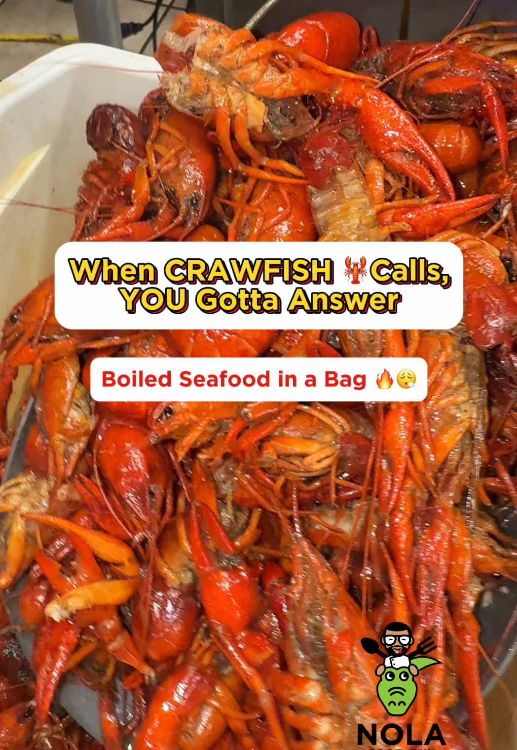 @NOLA Food Guy