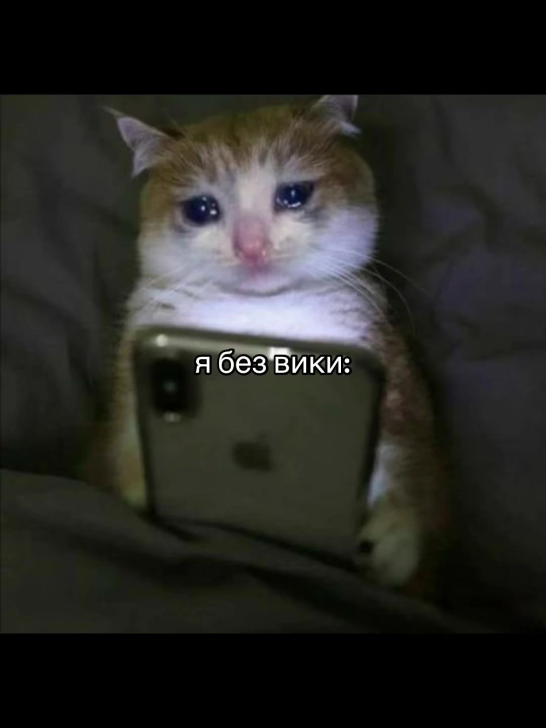 @люблю вику❣️🎸