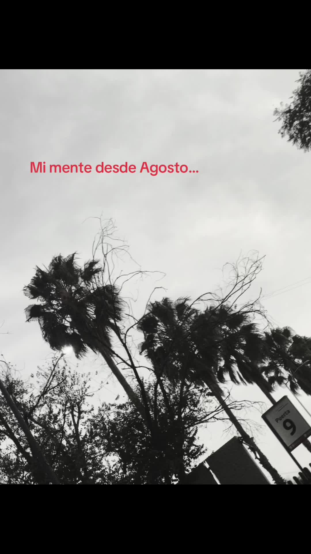@Textos._.rojos