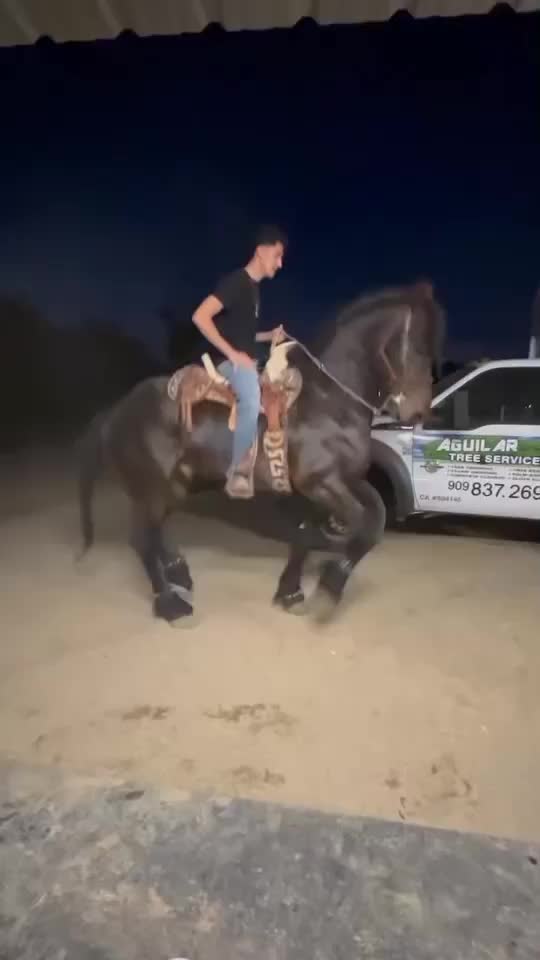 @yahirtorres6781