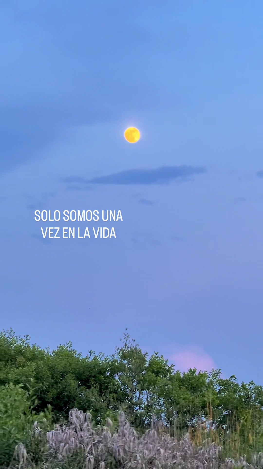 @xelatravels