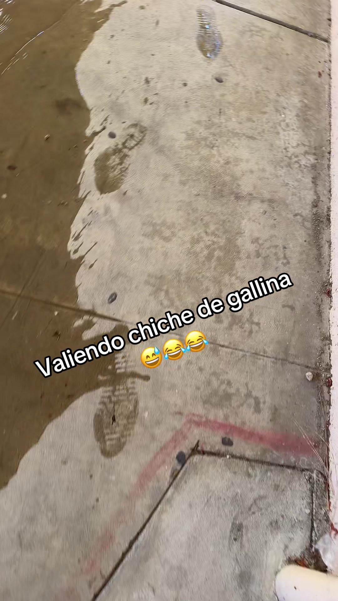 @Esau777🇸🇻LA🇺🇸