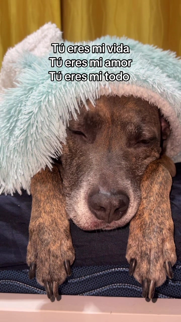 @𝓜𝓲𝓬𝓱𝓮𝓵𝓵𝓮 𝓪𝓵𝓯𝓪𝓻𝓸