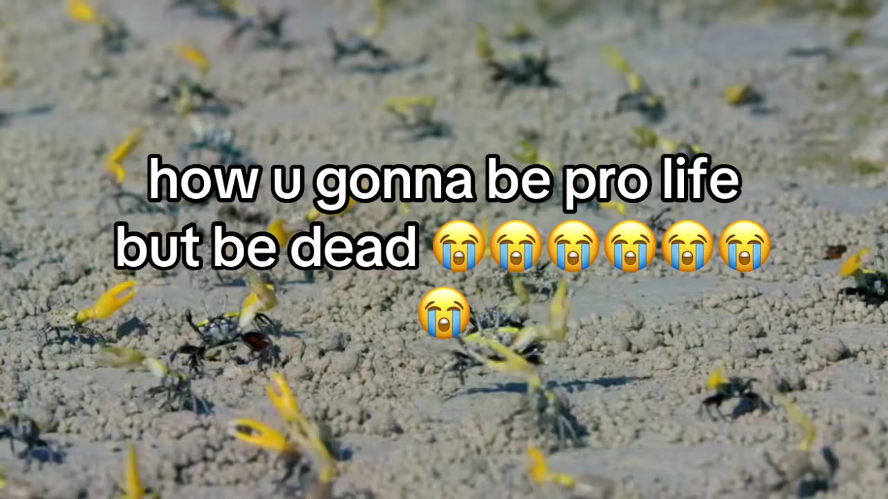 @pinhead