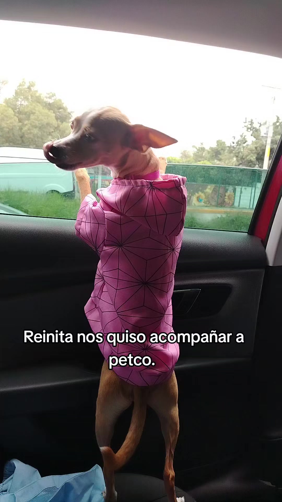 @Rodriguez Tiana