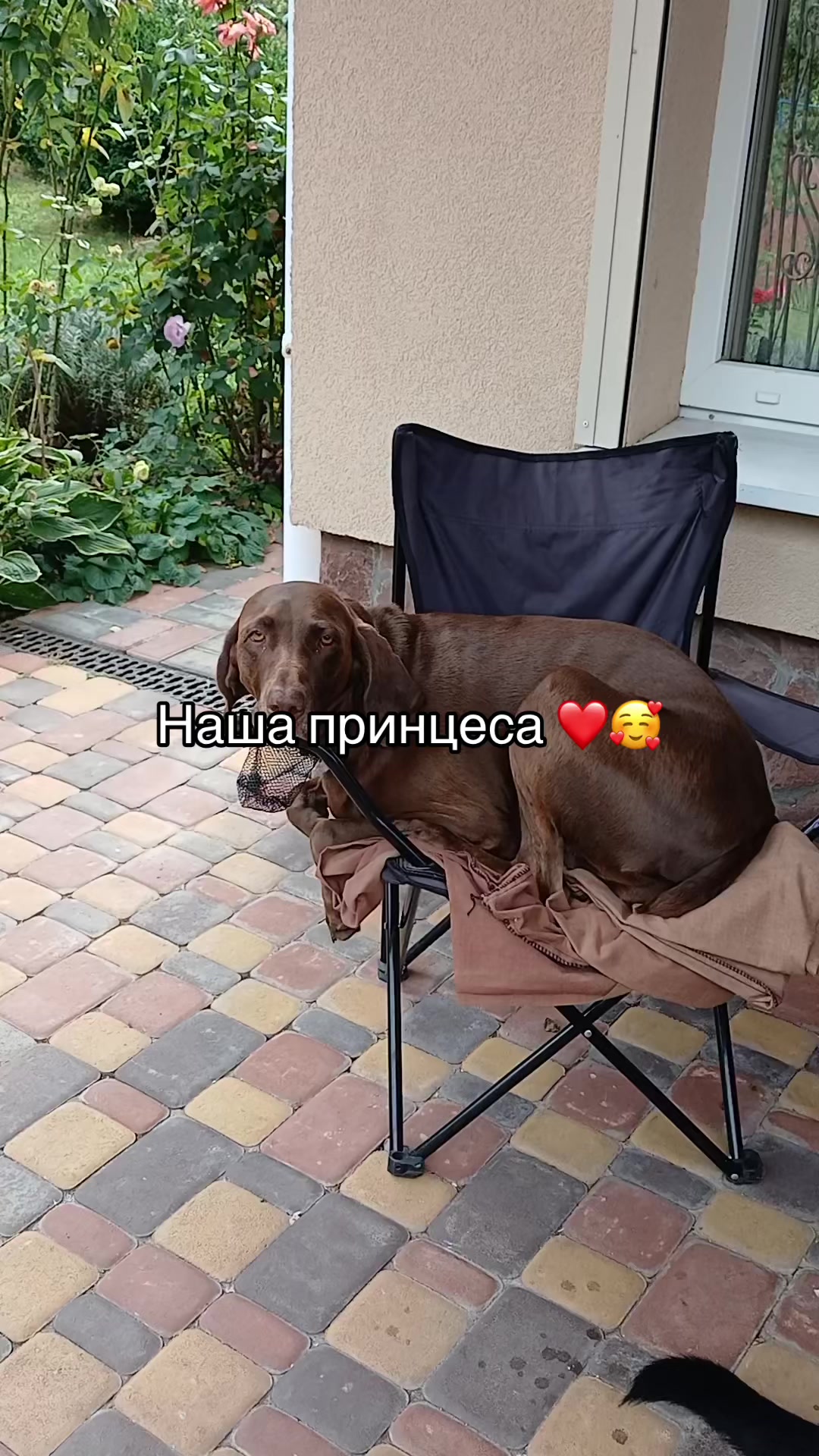 @Natali Kherson 🍉