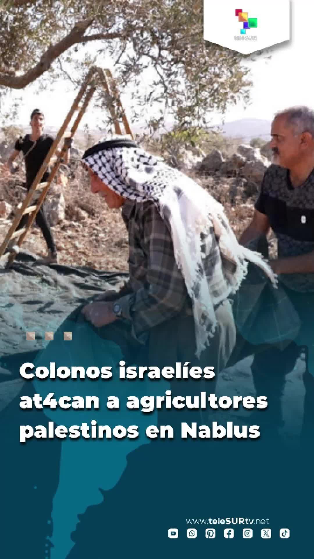 @teleSUR Clips