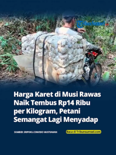 @Tribun Sumsel