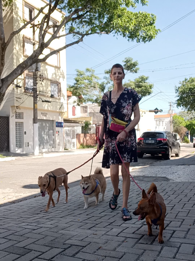 @Cosmos🐕 Maui🐶  Aurora🦊