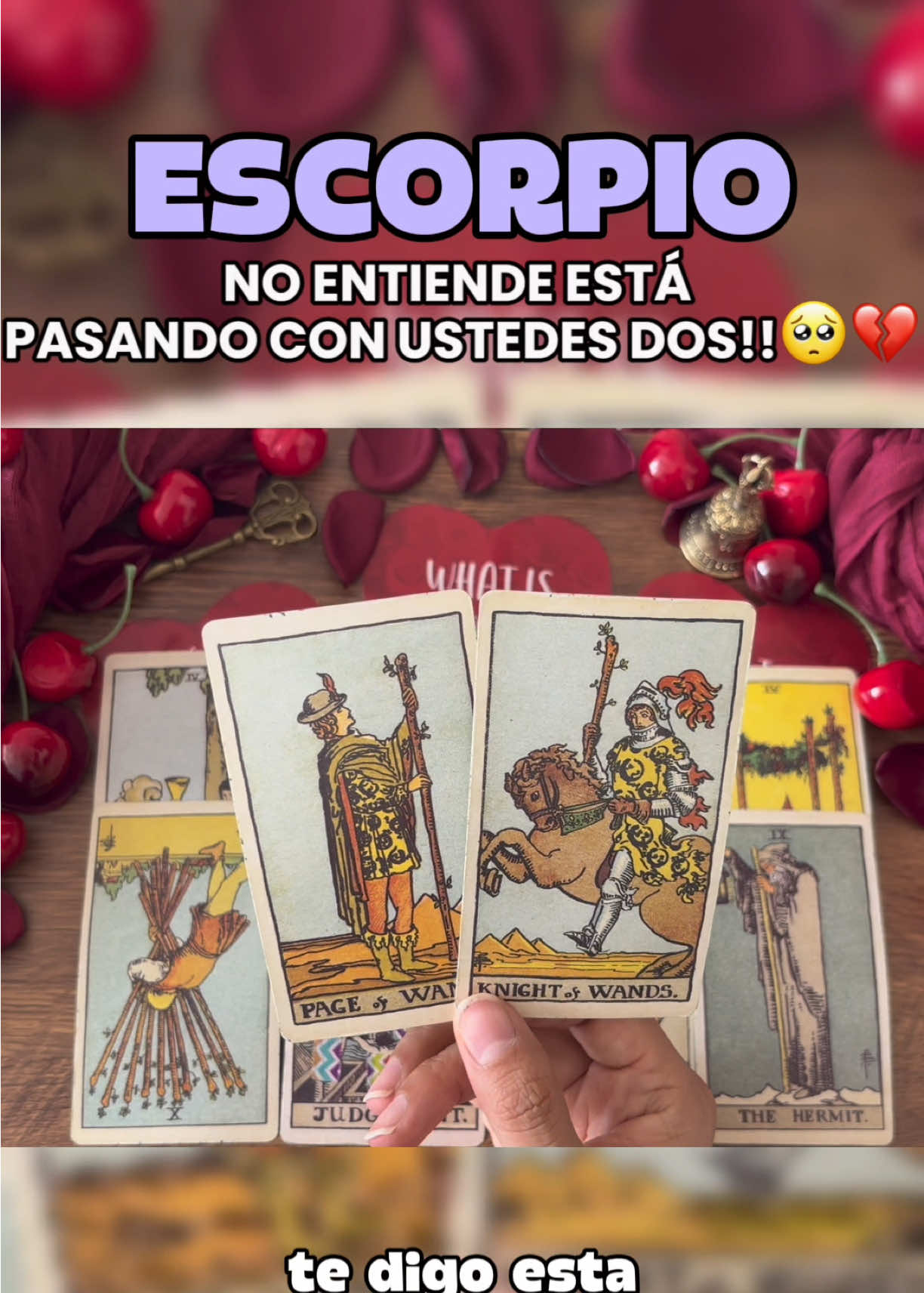 @Andy Sun Tarot ☀️