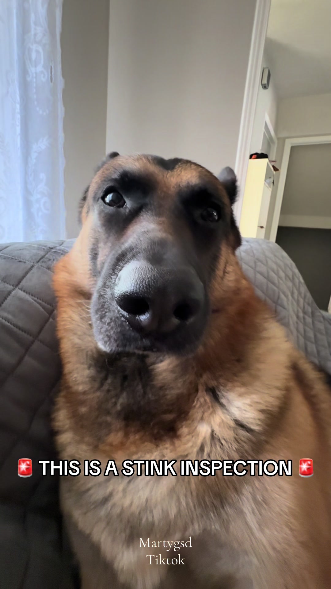 @Martygsd