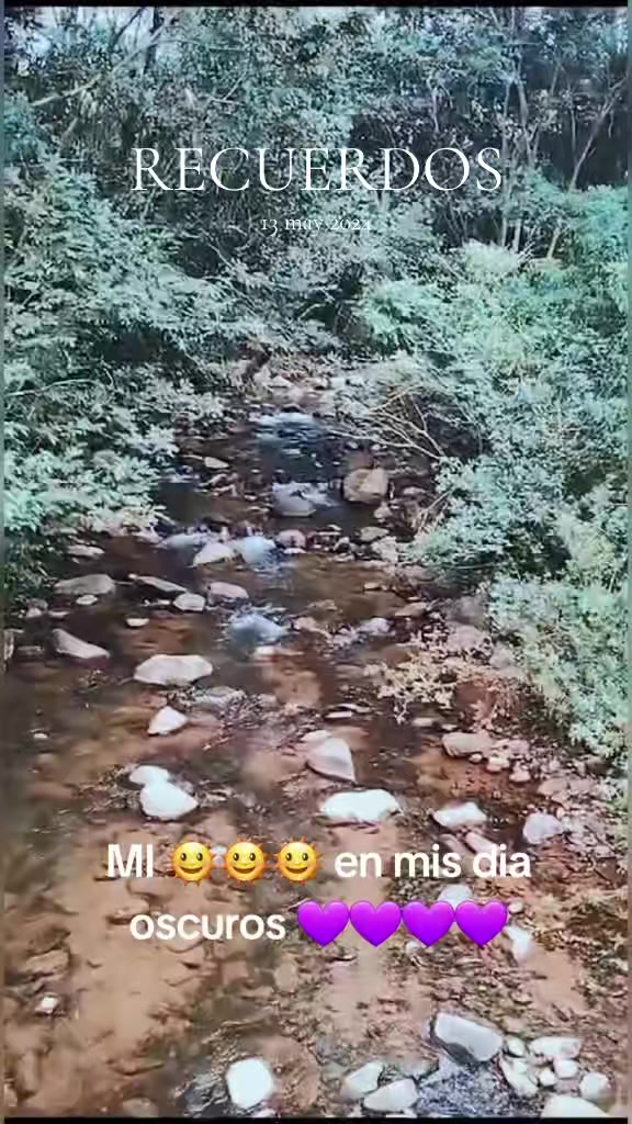 @zaldrices