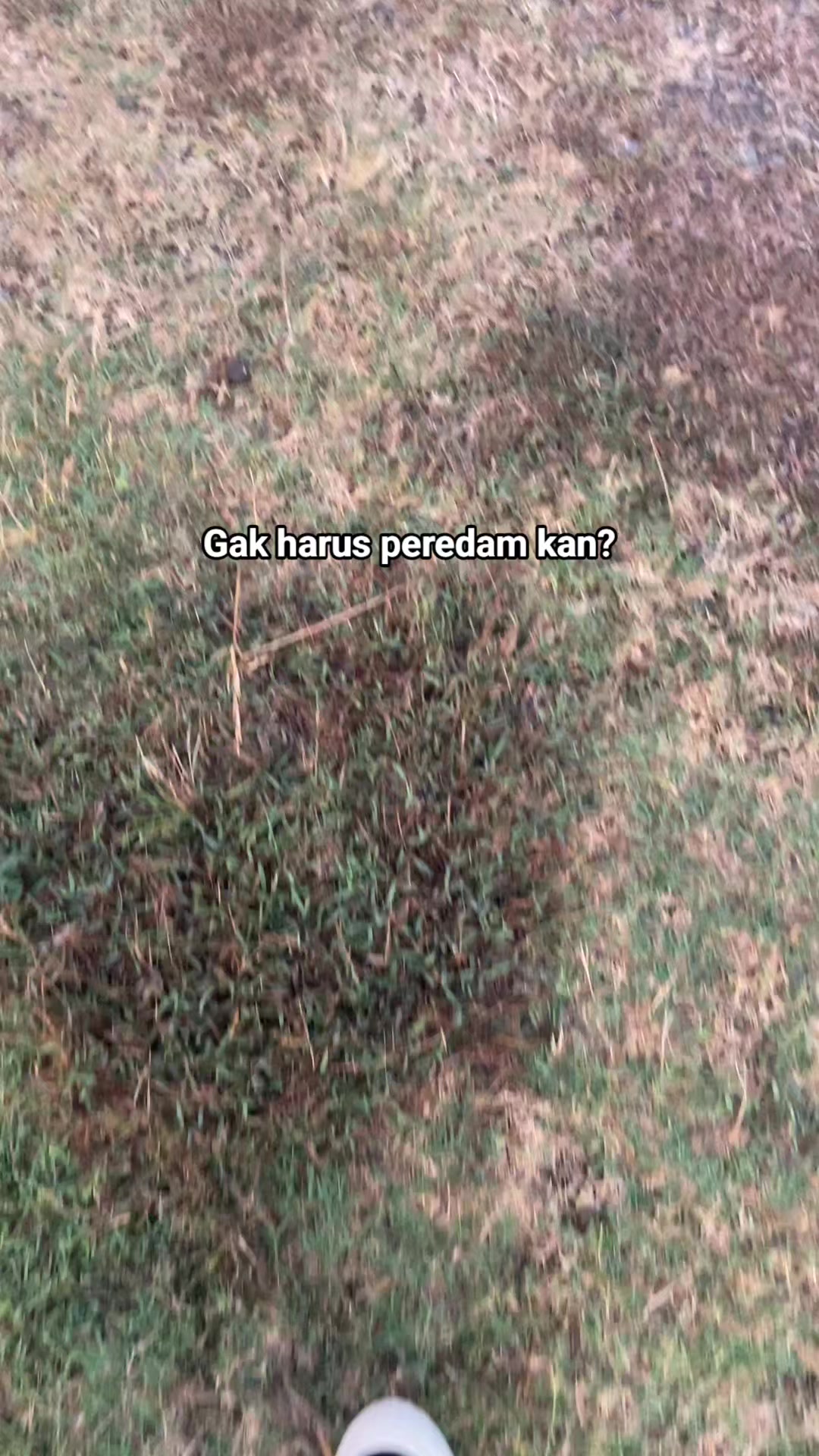 @𝕚𝕟𝕥𝕦𝕟𝕒𝕝-𝕗
