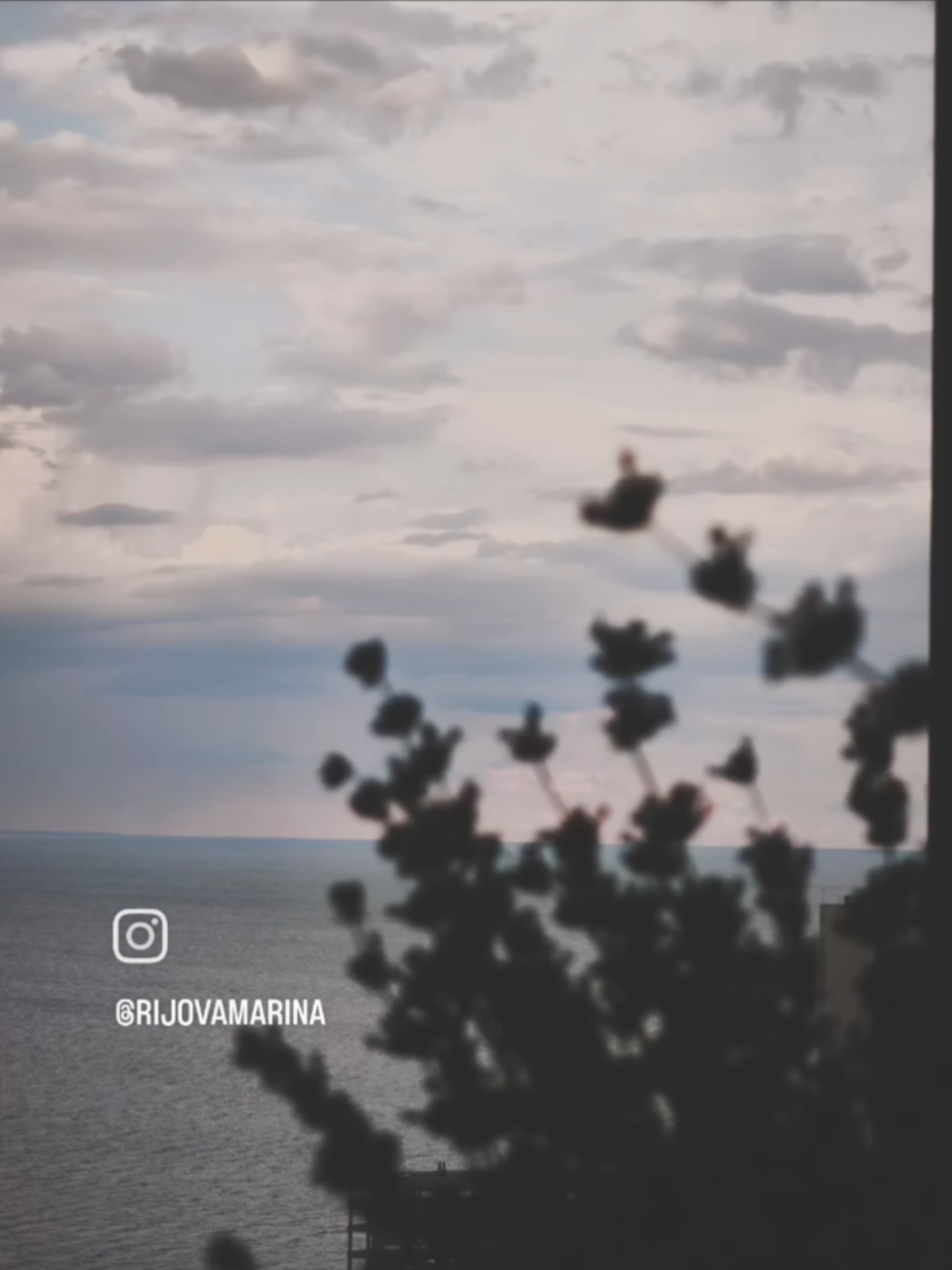 @Марина🤍🪽
