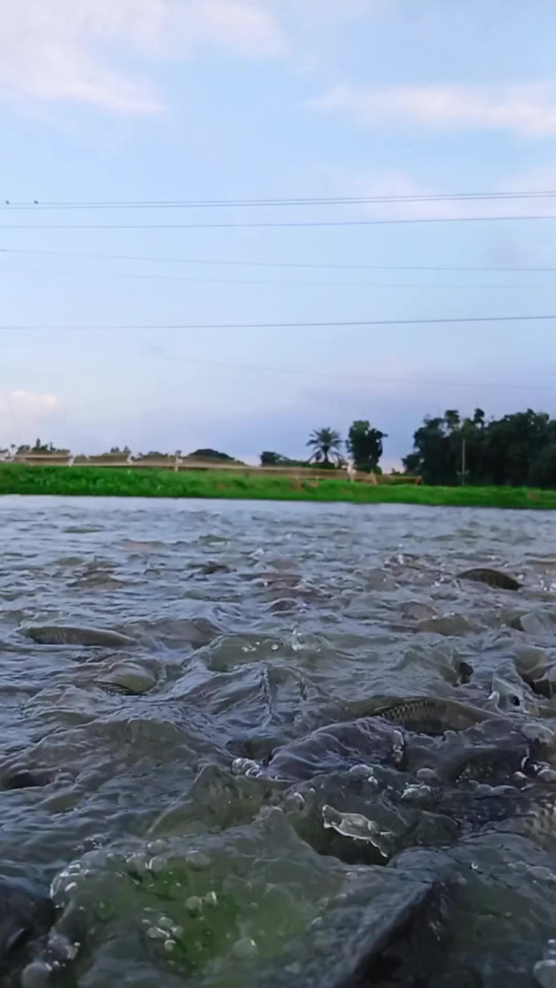 @সুজন মিয়া