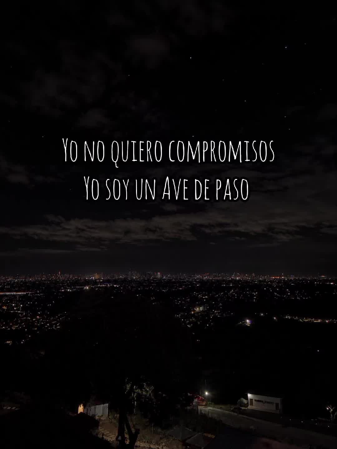 @VLEX_music🎵🌑💫