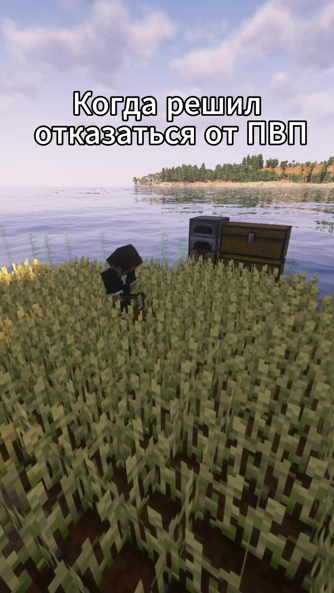 @MineChestplate