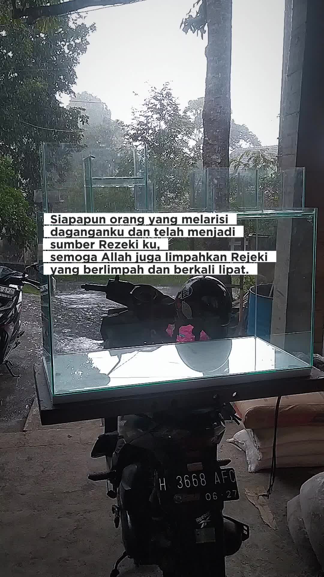 @Blessing_fish