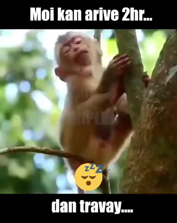 @♥️♋🦀 Akshay_Kritesh 🦀♋♥️