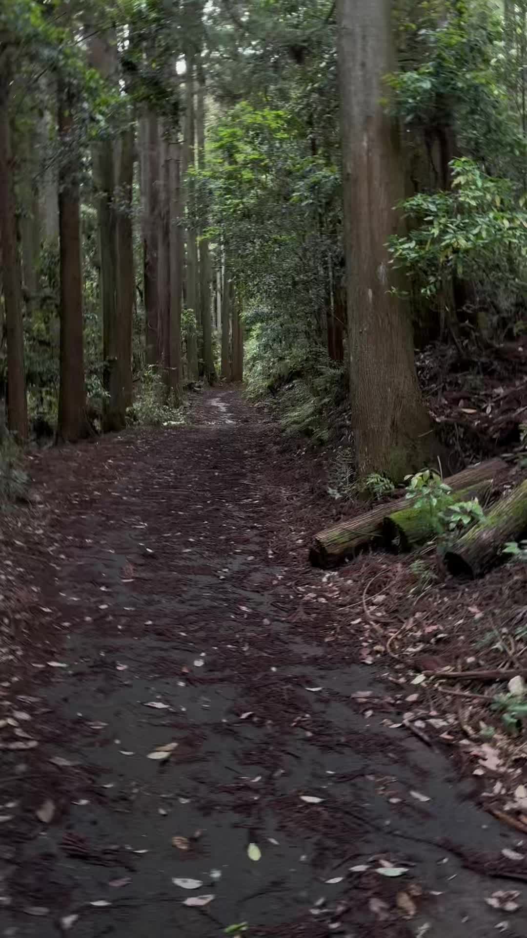 @Keisho201358