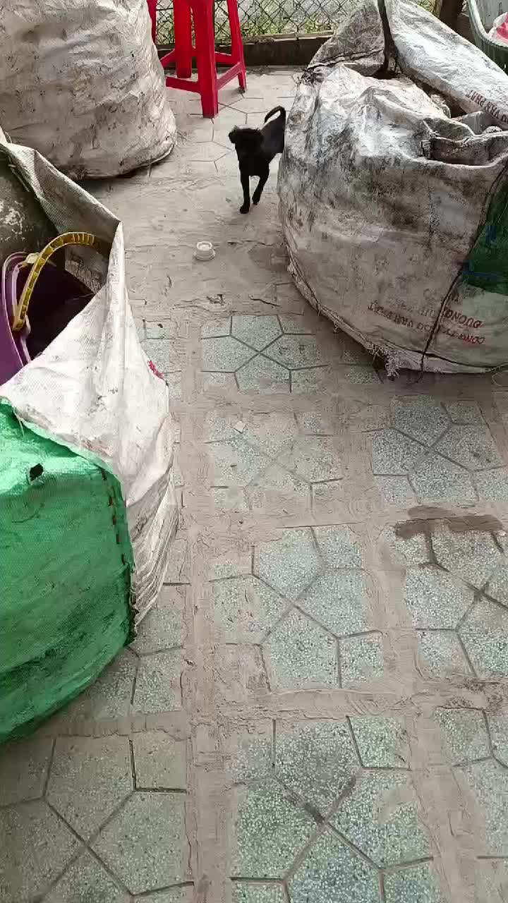 @Na sắp ba nhăm chủi