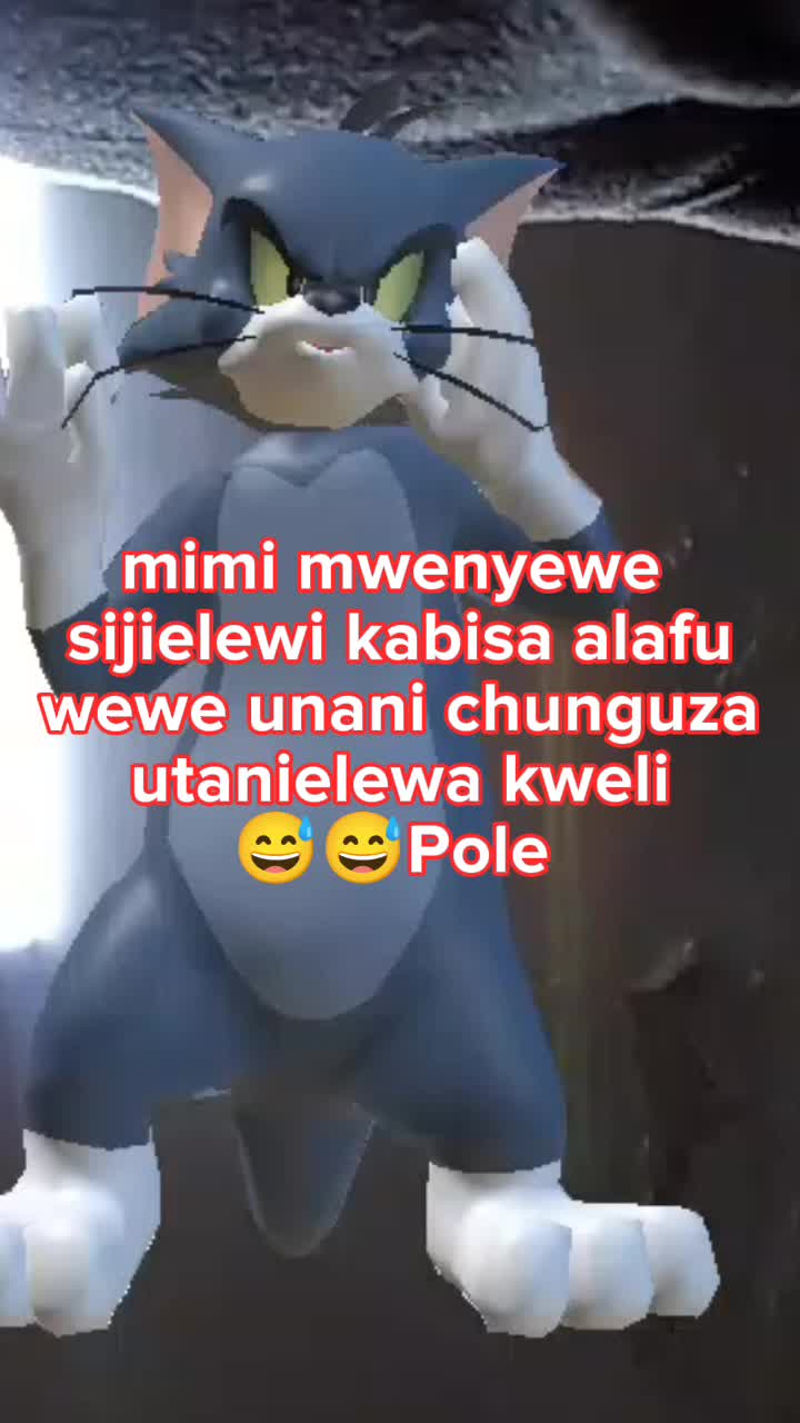 @hamisa 254@