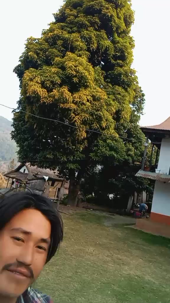 @romiyonami