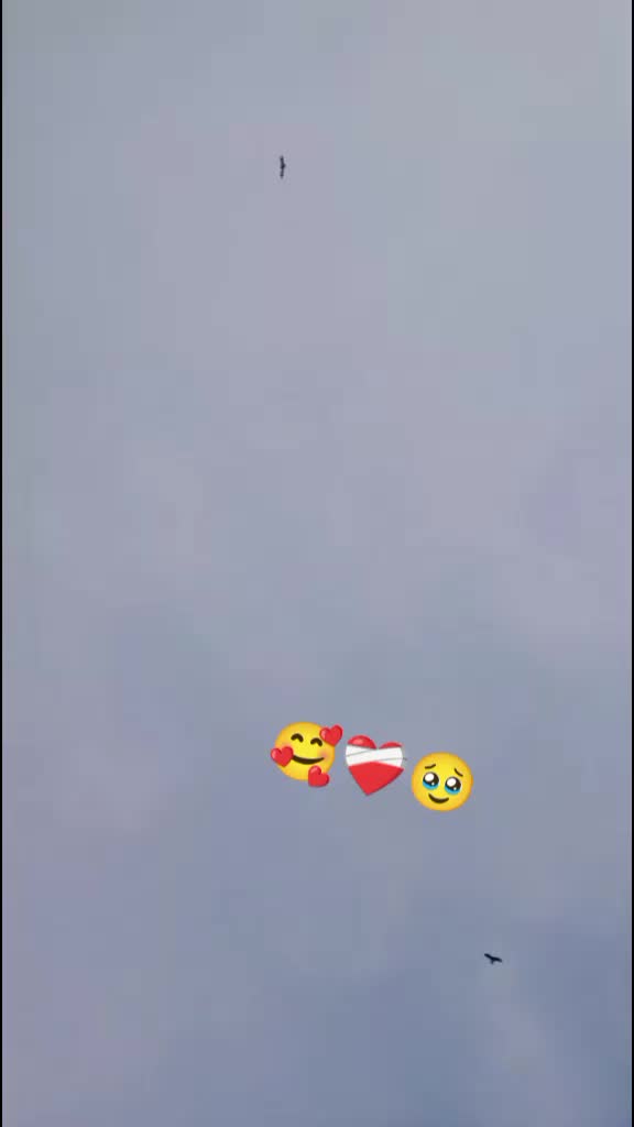 @alihassan