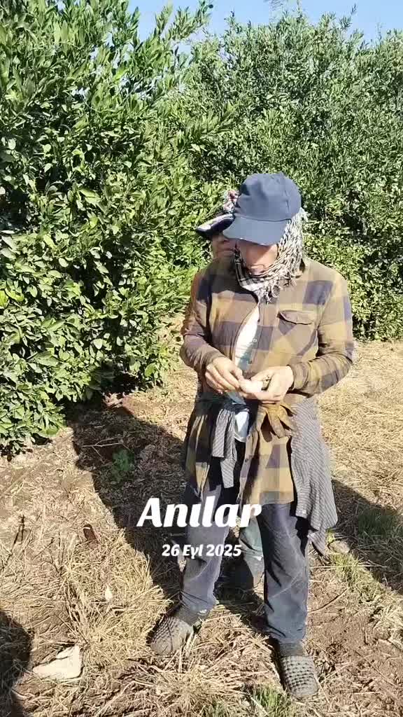 @Ayşe