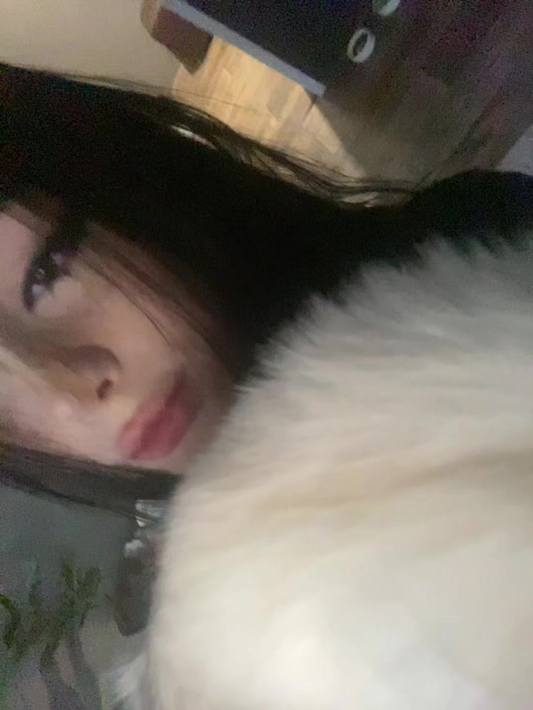 @zabotina-ari