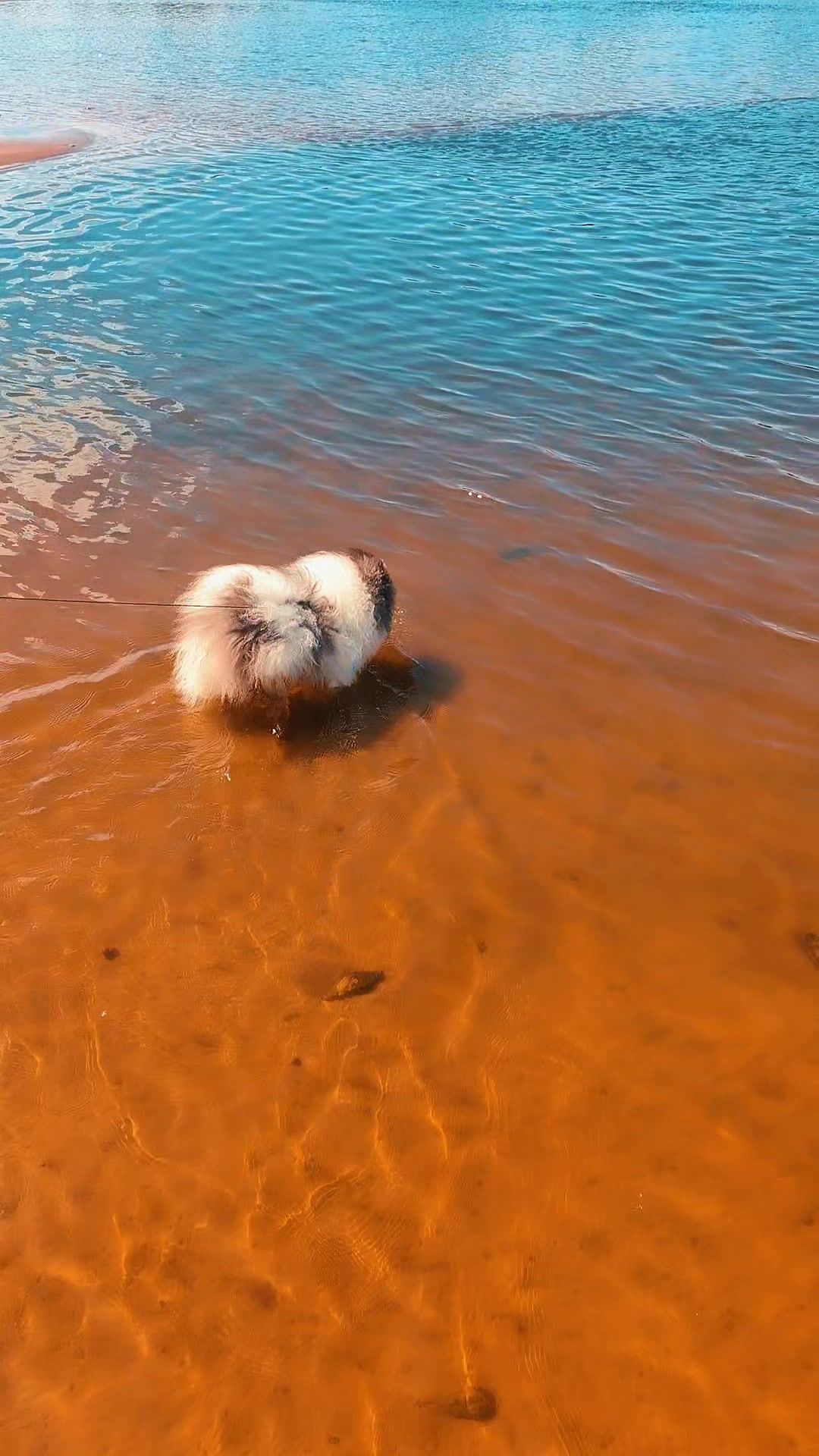 @👑🧿Annetkablond🪬👑