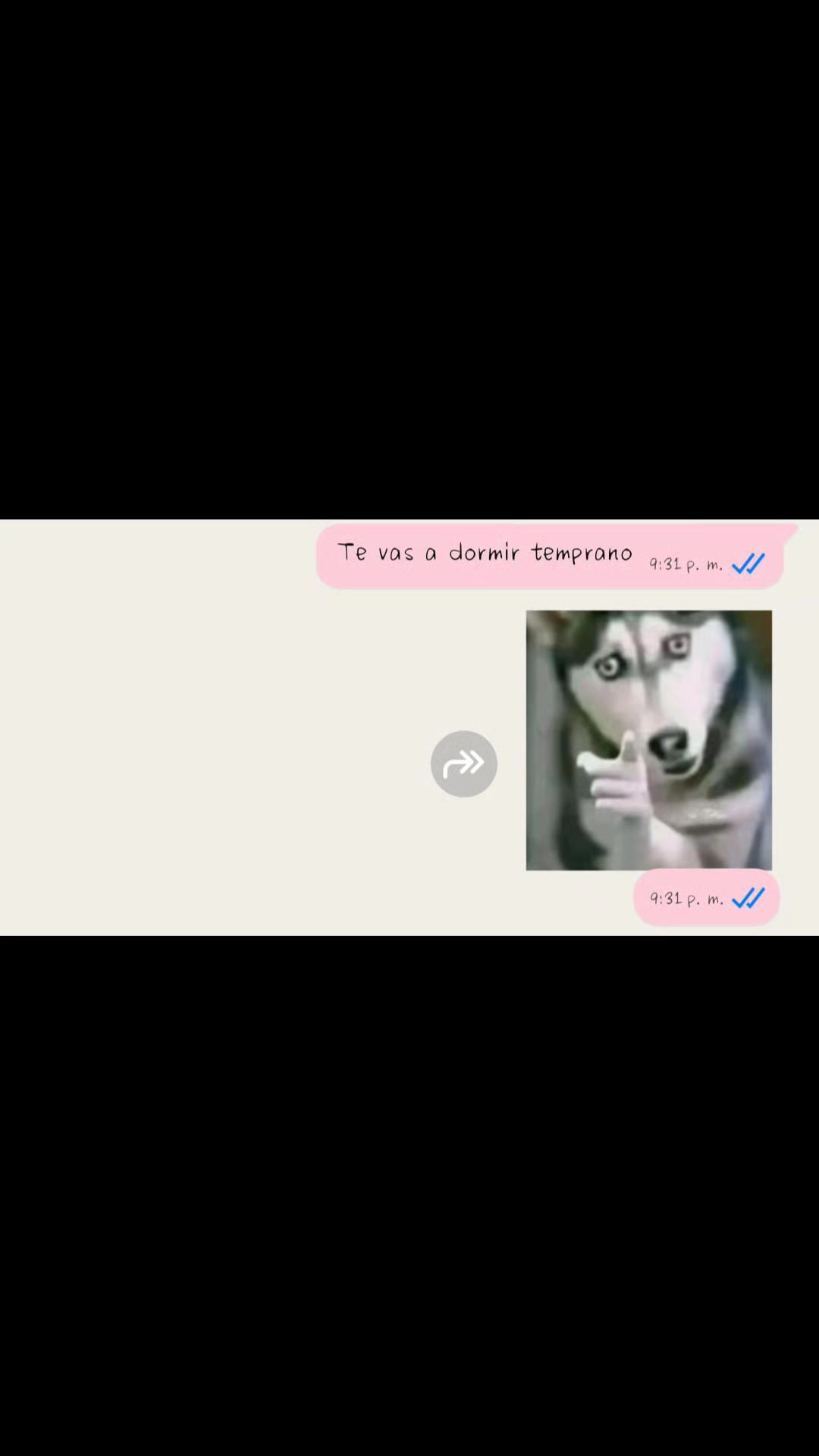 @💗 sofia 💗