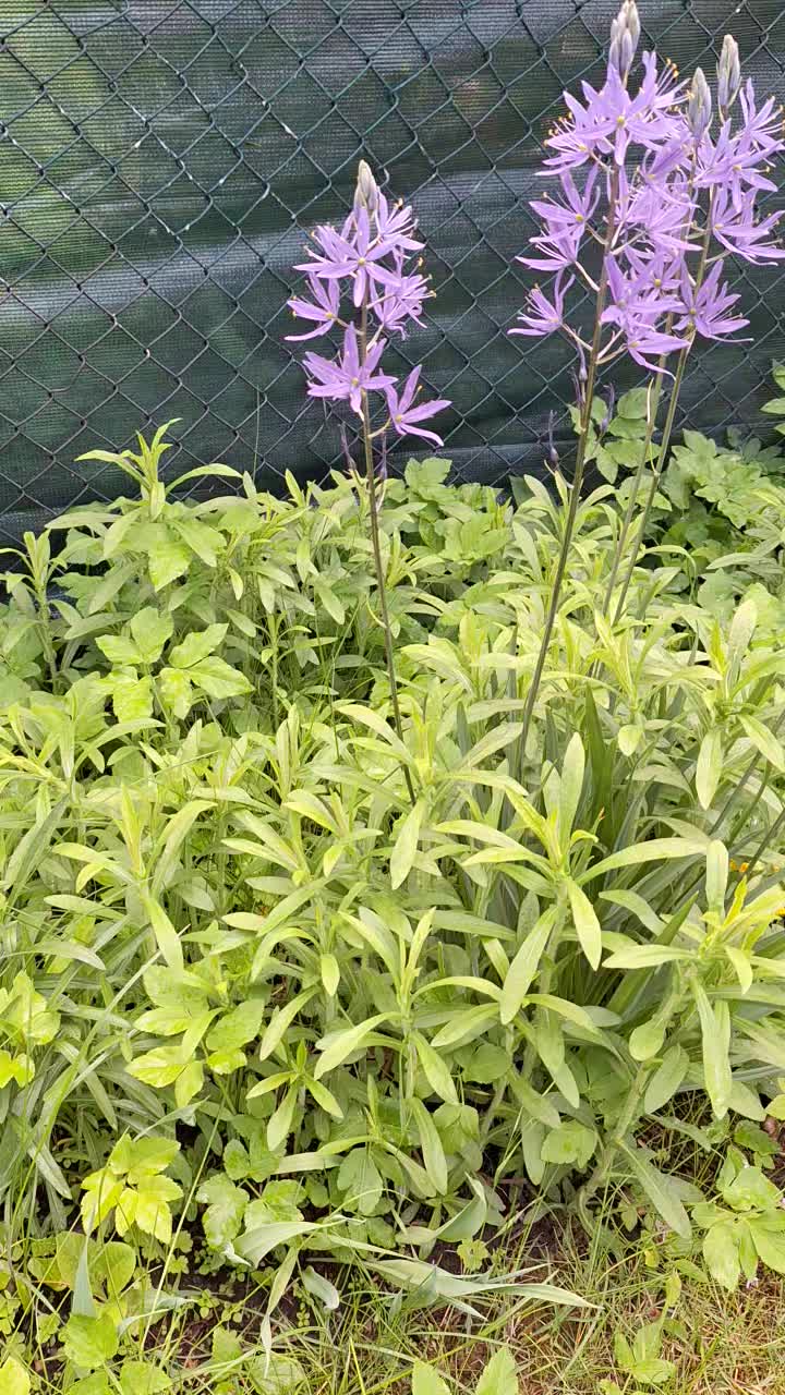 @Natur und Garten