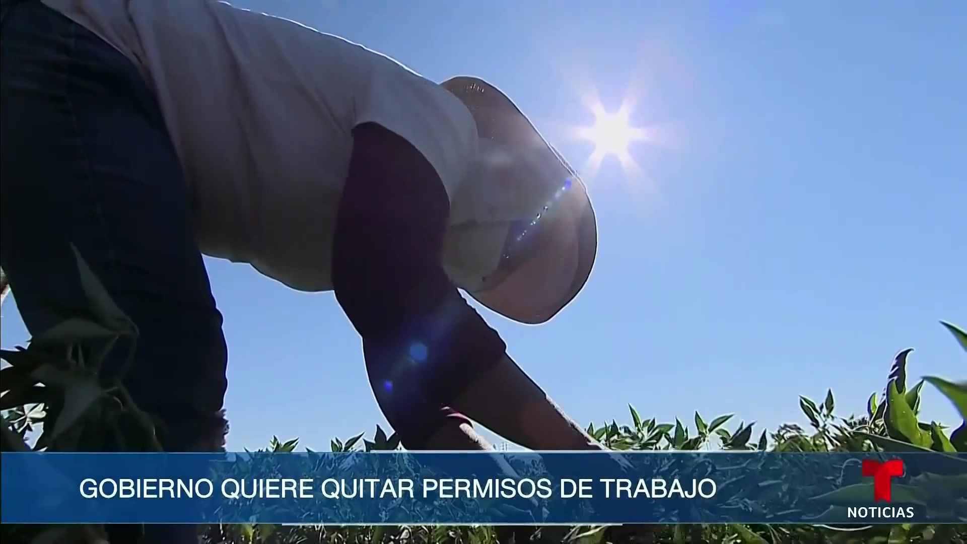 @Noticias Telemundo