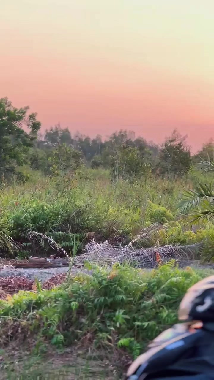 @HarnoKw.