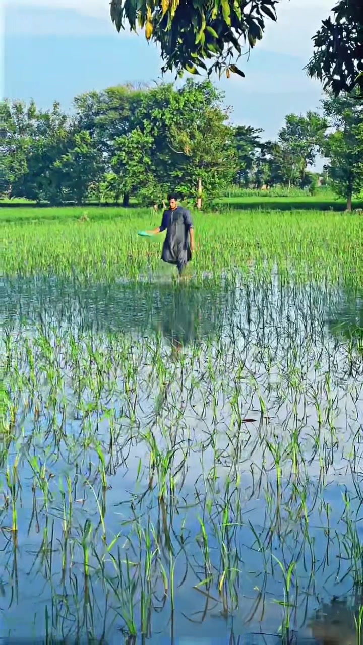 @Salman Ranjha